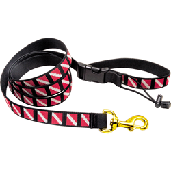 Dog Leash Medium
